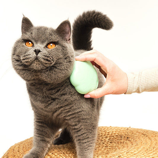 ペットティーザー　キャット フレンドリーミント